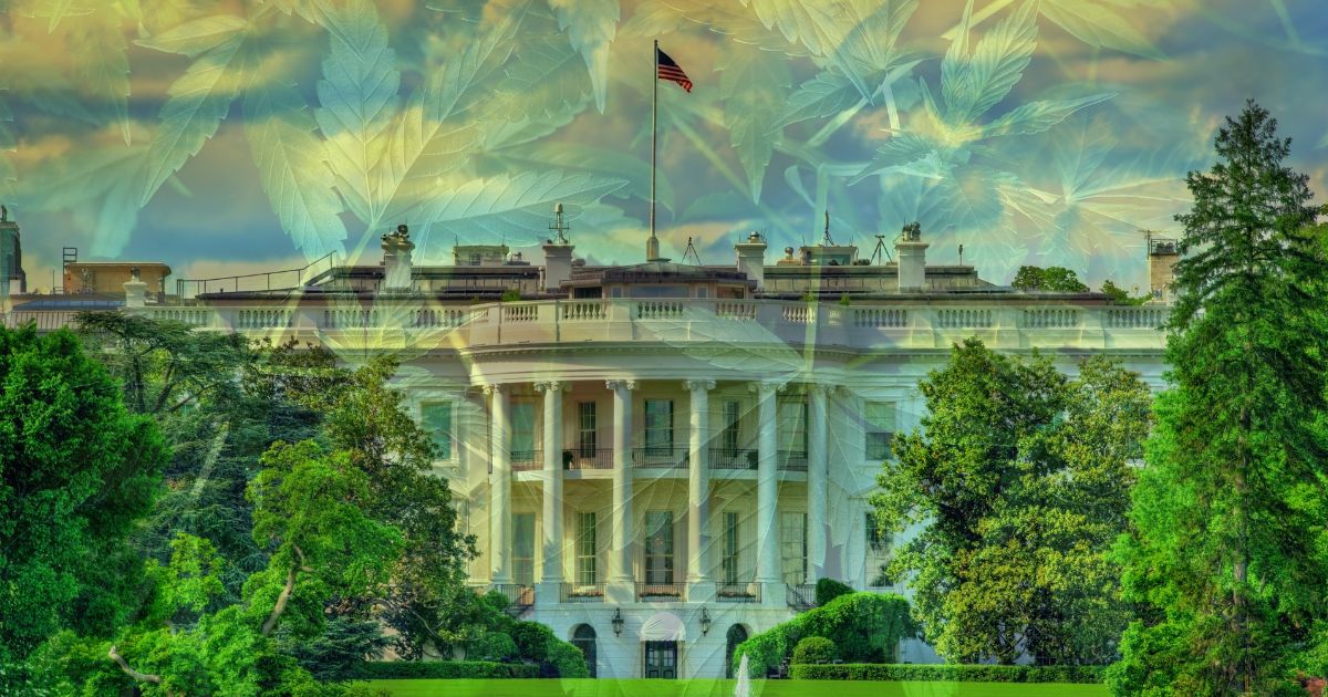 Image of the White House South Portico with its iconic neoclassical columns and an American flag flying atop the roof. The scene is overlaid with semi-transparent cannabis leaves, blending into the vibrant green trees and a colorful sky at sunrise or sunset. The composition symbolizes the White House cannabis policy meeting and the intersection of federal governance and cannabis legislation