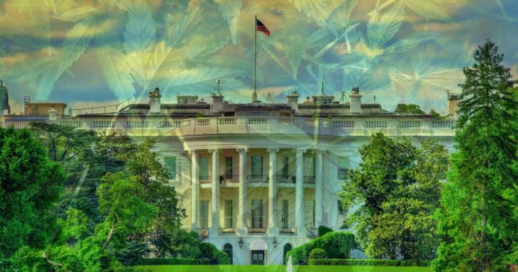 Image of the White House South Portico with its iconic neoclassical columns and an American flag flying atop the roof. The scene is overlaid with semi-transparent cannabis leaves, blending into the vibrant green trees and a colorful sky at sunrise or sunset. The composition symbolizes the White House cannabis policy meeting and the intersection of federal governance and cannabis legislation