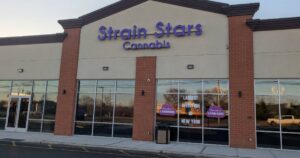Exterior of Strain Stars Cannabis dispensary in Riverhead, New York, featuring a tan stucco facade with brick pillars, large glass windows, and prominent purple signage. Window decals advertise 'Largest Selection in New York' and 'Recreational Cannabis,' set against a suburban retail backdrop with a parking lot in the foreground
