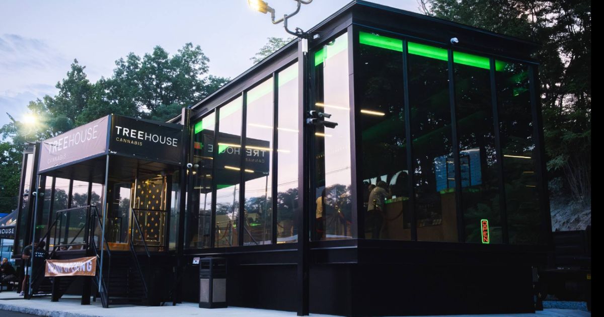 Modern cannabis dispensary 'Treehouse Cannabis' in Nyack, NY, featuring a sleek black metal and glass structure with vibrant green LED interior lighting. The storefront includes large glass windows, a raised entrance with 'NOW OPENING' banners, and a backdrop of dense trees under an overcast sky, highlighting its contemporary design
