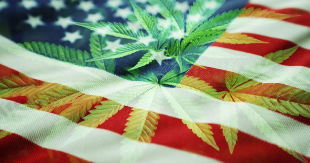 An American flag with a textured fabric appearance serves as the background, overlaid with translucent green cannabis leaves. The central leaf is prominent, blending with the flag's stars and stripes, symbolizing the intersection of US cannabis laws and national identity