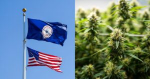 Side-by-side image featuring the Virginia state flag and the U.S. flag fluttering against a clear blue sky on the left, and a close-up of vibrant green cannabis buds with frosty trichomes on the right. The composition symbolizes the intersection of Virginia's state policies and cannabis industry, referencing Abigail Spanberger's marijuana amendments
