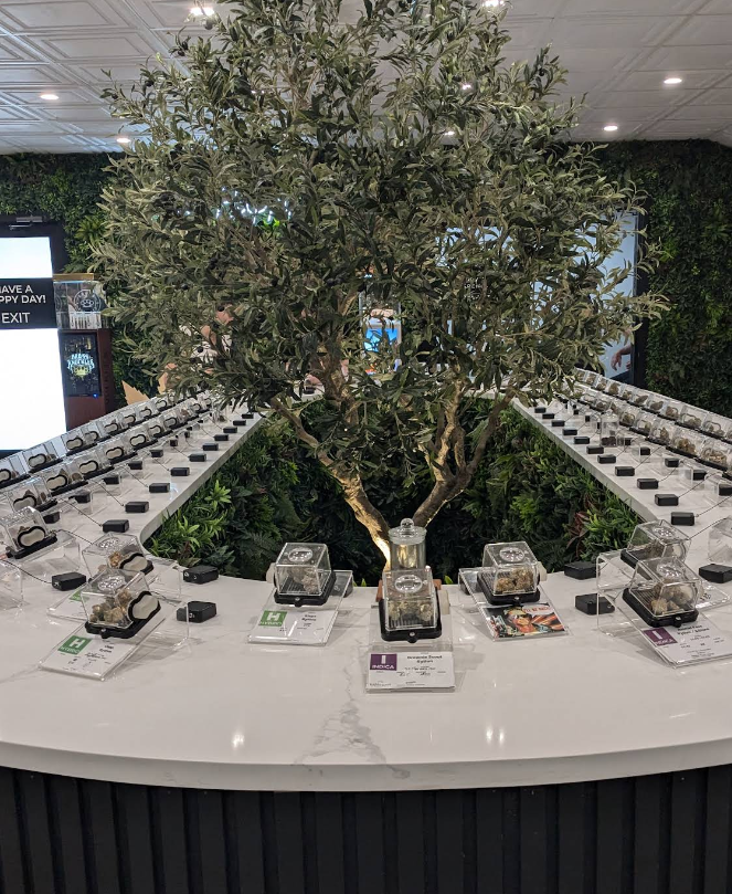 "Interior of a modern cannabis dispensary featuring a large artificial olive tree at the center of a white marble U-shaped counter. Clear acrylic boxes displaying cannabis flower samples are arranged symmetrically with color-coded labels for Indica and Hybrid strains. The background includes lush green plant walls and bright recessed lighting, creating a high-end, nature-inspired atmosphere