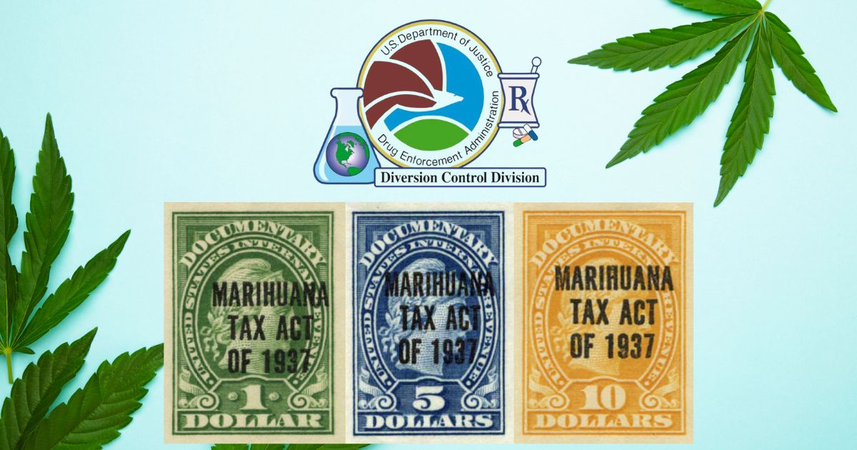 Graphic about DEA registration and cannabis regulation featuring the DEA Diversion Control Division seal above three historical Marihuana Tax Act of 1937 revenue stamps, framed by green cannabis leaves on a light blue background