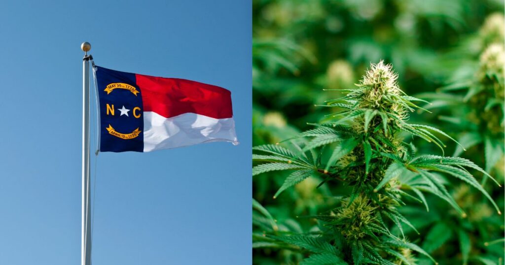 Split image of the North Carolina state flag against a blue sky beside a close-up of a flowering cannabis plant, representing North Carolina cannabis policy and cultivation