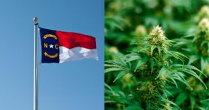 Split image of the North Carolina state flag against a blue sky beside a close-up of a flowering cannabis plant, representing North Carolina cannabis policy and cultivation