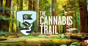 Sunlit redwood forest background with a shield logo showing a mountain trail and cannabis leaf flag, next to bold white text reading “The Cannabis Trail