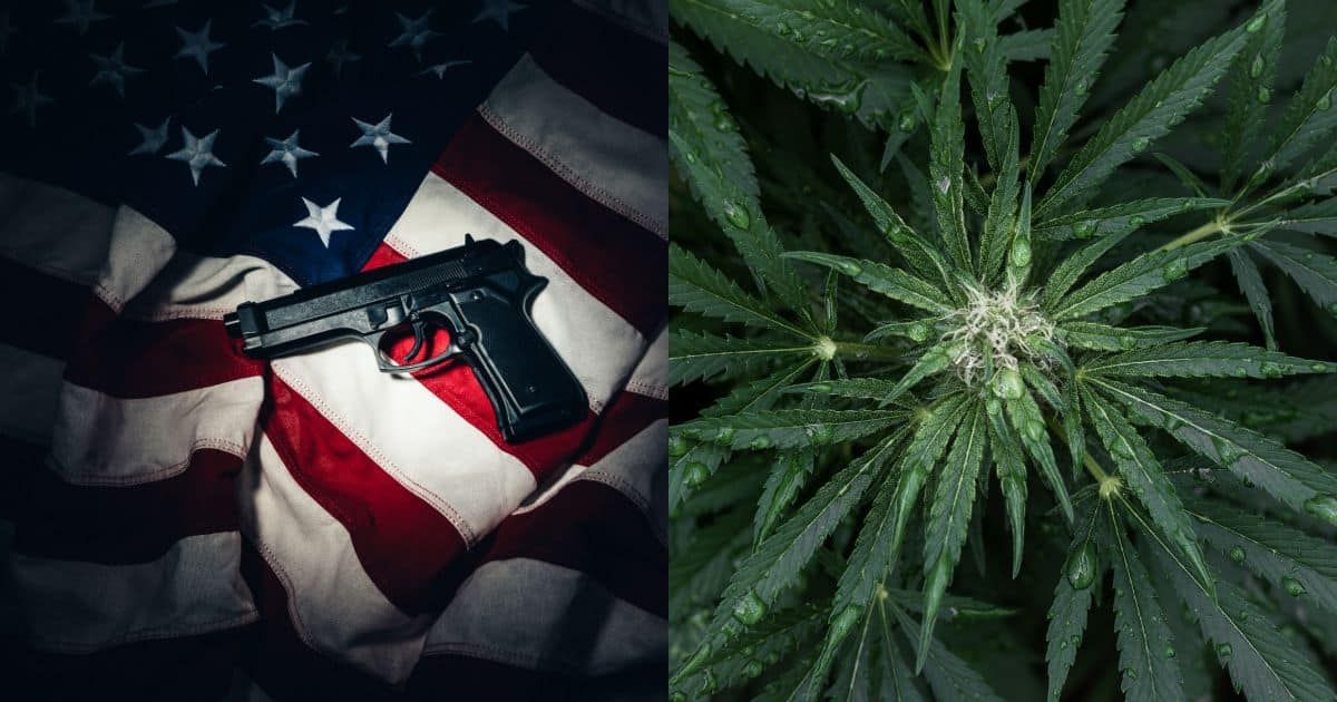 Split image showing a handgun on an American flag beside a close-up cannabis plant, illustrating the Supreme Court cannabis gun ruling.