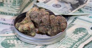 Cannabis buds in a metal lid placed on top of U.S. twenty-dollar bills, representing the economic impact of the Michigan wholesale cannabis tax.