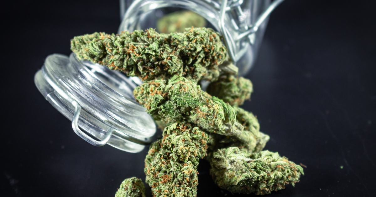 Cannabis Flower Prices Dropped 26%. Demand Rose Even Faster Study Shows